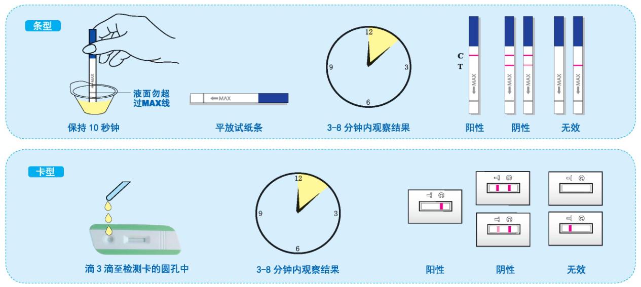 吗啡检测试剂盒（胶体金法）(图2)